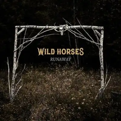 Wild_Horses